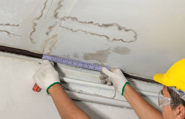 Reliable Basement Water Removal contractor in Springville, VA by Water Damage Irwin